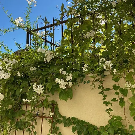 Le Jardinet De Rosa Maison De Village